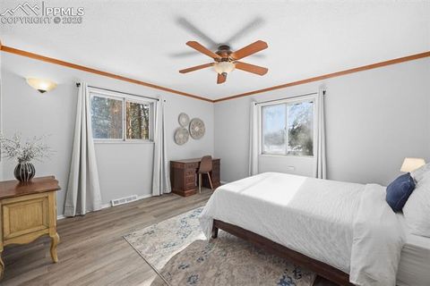 Tiny photo for 1731 Navajo Trail, Woodland Park, CO 80863 (MLS # 2168474)