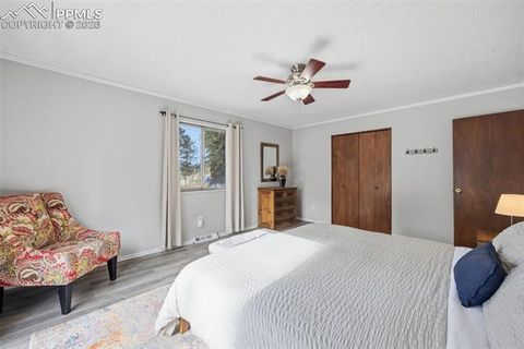 Tiny photo for 1731 Navajo Trail, Woodland Park, CO 80863 (MLS # 2168474)