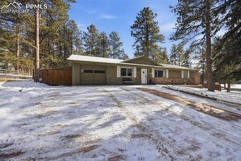 Tiny photo for 1731 Navajo Trail, Woodland Park, CO 80863 (MLS # 2168474)