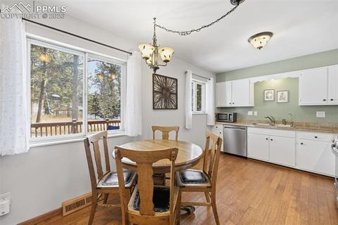 Tiny photo for 1731 Navajo Trail, Woodland Park, CO 80863 (MLS # 2168474)