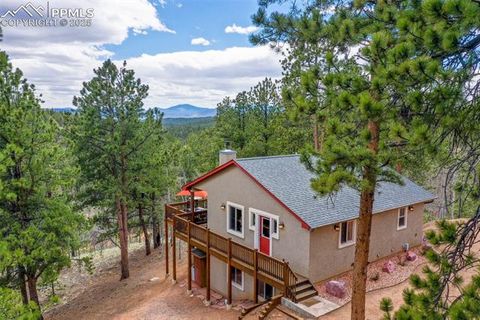 185 Wildcat Creek Drive Florissant CO 80816