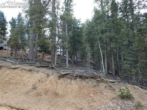 Photo of 620 Wakanda Trail, Woodland Park, CO 80863 (MLS # 8540354)