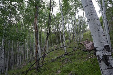 Photo of 144 Goldfield Court, Cripple Creek, CO 80813 (MLS # 7412072)