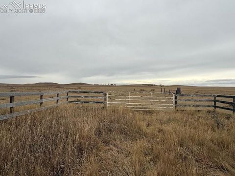 Photo of 15530 Kanuch Road, Calhan, CO 80808 (MLS # 3575405)