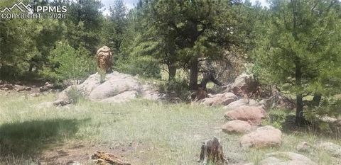 61 Canyon Drive Florissant CO 80816