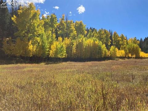 Photo of 1 County Road 358, Westcliffe, CO 81252 (MLS # 2092493)
