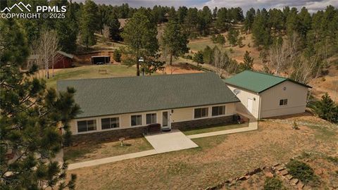 867 Twin Lakes Drive Divide CO 80814