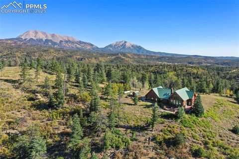 19558 Aspen Rose Drive Weston CO 81091