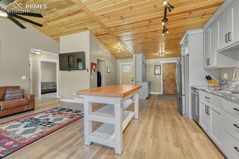 Tiny photo for 501 Taopi Circle, Woodland Park, CO 80863 (MLS # 5140247)