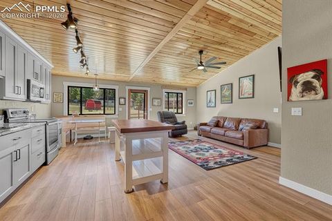 Tiny photo for 501 Taopi Circle, Woodland Park, CO 80863 (MLS # 5140247)