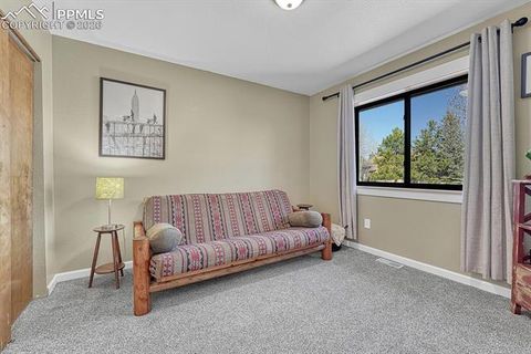 Tiny photo for 501 Taopi Circle, Woodland Park, CO 80863 (MLS # 5140247)