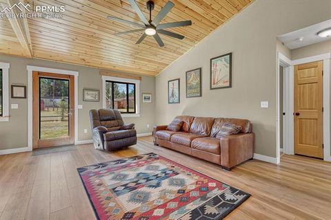 Tiny photo for 501 Taopi Circle, Woodland Park, CO 80863 (MLS # 5140247)