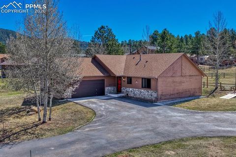 Photo of 501 Taopi Circle, Woodland Park, CO 80863 (MLS # 5140247)