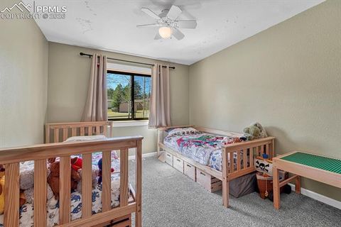 Tiny photo for 501 Taopi Circle, Woodland Park, CO 80863 (MLS # 5140247)