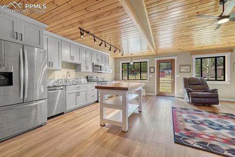 Tiny photo for 501 Taopi Circle, Woodland Park, CO 80863 (MLS # 5140247)