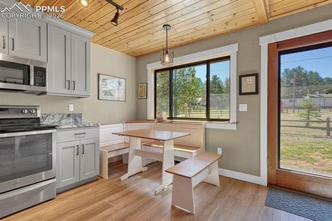 Tiny photo for 501 Taopi Circle, Woodland Park, CO 80863 (MLS # 5140247)