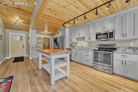 Tiny photo for 501 Taopi Circle, Woodland Park, CO 80863 (MLS # 5140247)