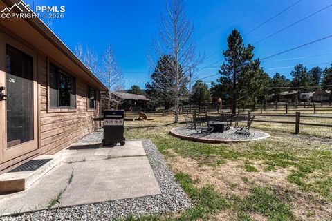 Tiny photo for 501 Taopi Circle, Woodland Park, CO 80863 (MLS # 5140247)