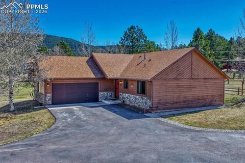Tiny photo for 501 Taopi Circle, Woodland Park, CO 80863 (MLS # 5140247)