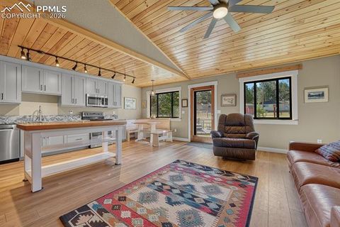 Tiny photo for 501 Taopi Circle, Woodland Park, CO 80863 (MLS # 5140247)