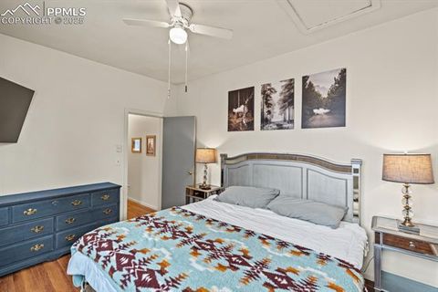 Tiny photo for 315 S 5th Street, Victor, CO 80860 (MLS # 8588289)