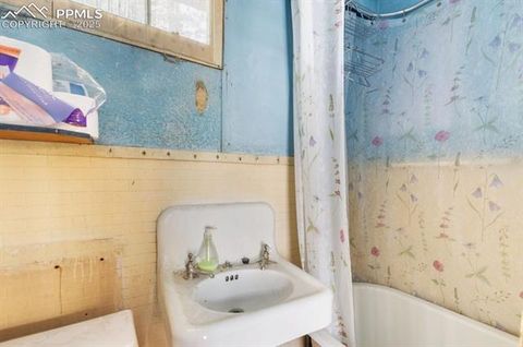 Tiny photo for 515 N Park Street, Woodland Park, CO 80863 (MLS # 1725522)