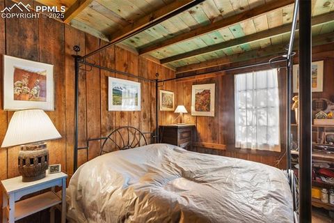 Tiny photo for 515 N Park Street, Woodland Park, CO 80863 (MLS # 1725522)