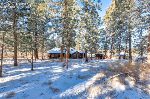 Tiny photo for 515 N Park Street, Woodland Park, CO 80863 (MLS # 1725522)