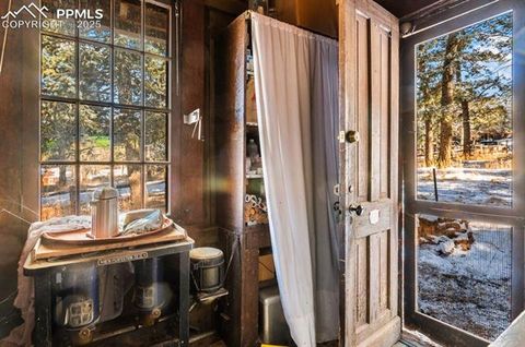 Tiny photo for 515 N Park Street, Woodland Park, CO 80863 (MLS # 1725522)