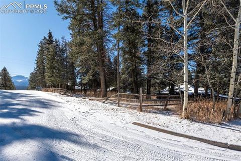 Tiny photo for 515 N Park Street, Woodland Park, CO 80863 (MLS # 1725522)
