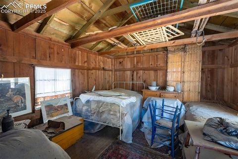 Tiny photo for 515 N Park Street, Woodland Park, CO 80863 (MLS # 1725522)