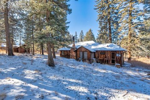 Tiny photo for 515 N Park Street, Woodland Park, CO 80863 (MLS # 1725522)