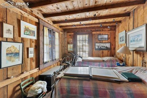 Tiny photo for 515 N Park Street, Woodland Park, CO 80863 (MLS # 1725522)