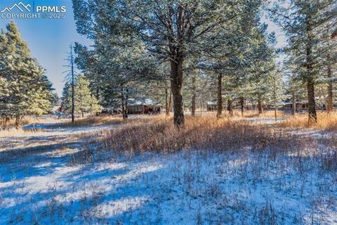 Tiny photo for 515 N Park Street, Woodland Park, CO 80863 (MLS # 1725522)