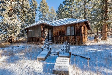 Tiny photo for 515 N Park Street, Woodland Park, CO 80863 (MLS # 1725522)