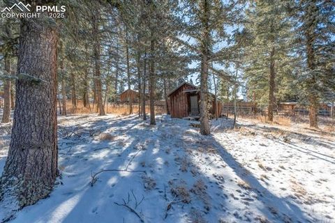 Tiny photo for 515 N Park Street, Woodland Park, CO 80863 (MLS # 1725522)
