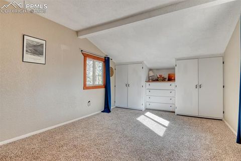 Tiny photo for 281 Mesa Drive, Florissant, CO 80816 (MLS # 6522610)