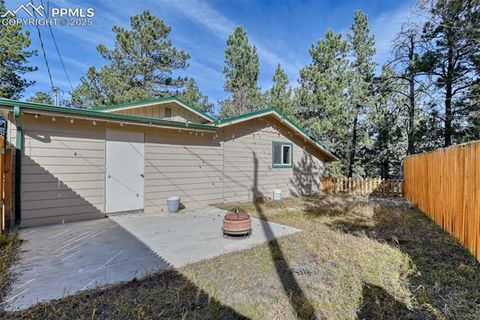 Tiny photo for 281 Mesa Drive, Florissant, CO 80816 (MLS # 6522610)