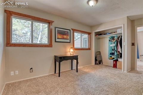 Tiny photo for 281 Mesa Drive, Florissant, CO 80816 (MLS # 6522610)