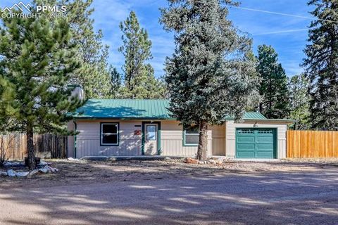Tiny photo for 281 Mesa Drive, Florissant, CO 80816 (MLS # 6522610)