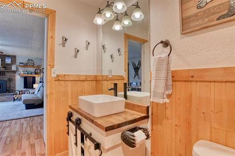 Tiny photo for 281 Mesa Drive, Florissant, CO 80816 (MLS # 6522610)