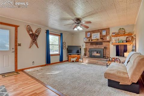 Tiny photo for 281 Mesa Drive, Florissant, CO 80816 (MLS # 6522610)
