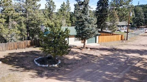 Tiny photo for 281 Mesa Drive, Florissant, CO 80816 (MLS # 6522610)