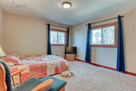Tiny photo for 281 Mesa Drive, Florissant, CO 80816 (MLS # 6522610)