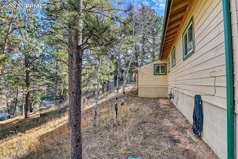 Tiny photo for 281 Mesa Drive, Florissant, CO 80816 (MLS # 6522610)