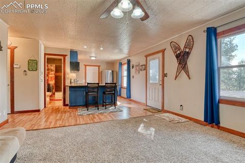Tiny photo for 281 Mesa Drive, Florissant, CO 80816 (MLS # 6522610)