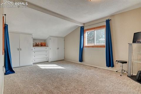 Tiny photo for 281 Mesa Drive, Florissant, CO 80816 (MLS # 6522610)