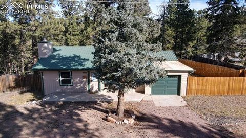 Tiny photo for 281 Mesa Drive, Florissant, CO 80816 (MLS # 6522610)