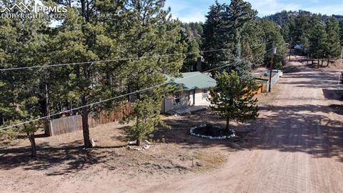 Tiny photo for 281 Mesa Drive, Florissant, CO 80816 (MLS # 6522610)