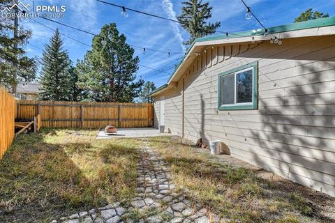 Tiny photo for 281 Mesa Drive, Florissant, CO 80816 (MLS # 6522610)